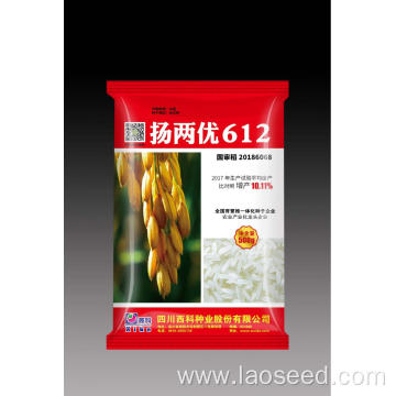 Top Sale Natual Rice Seed Yangliangyou 612